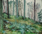 'Glentress Forest, Mist'. Mixed media on 20x16" canvas. Rose Strang 2014